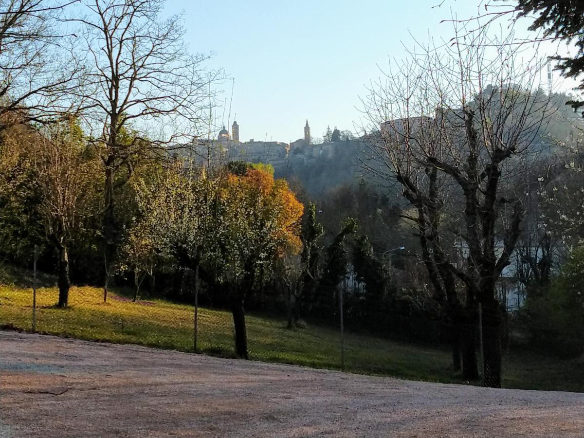 B&B Il Torchio-Urbino Eksteriør billede