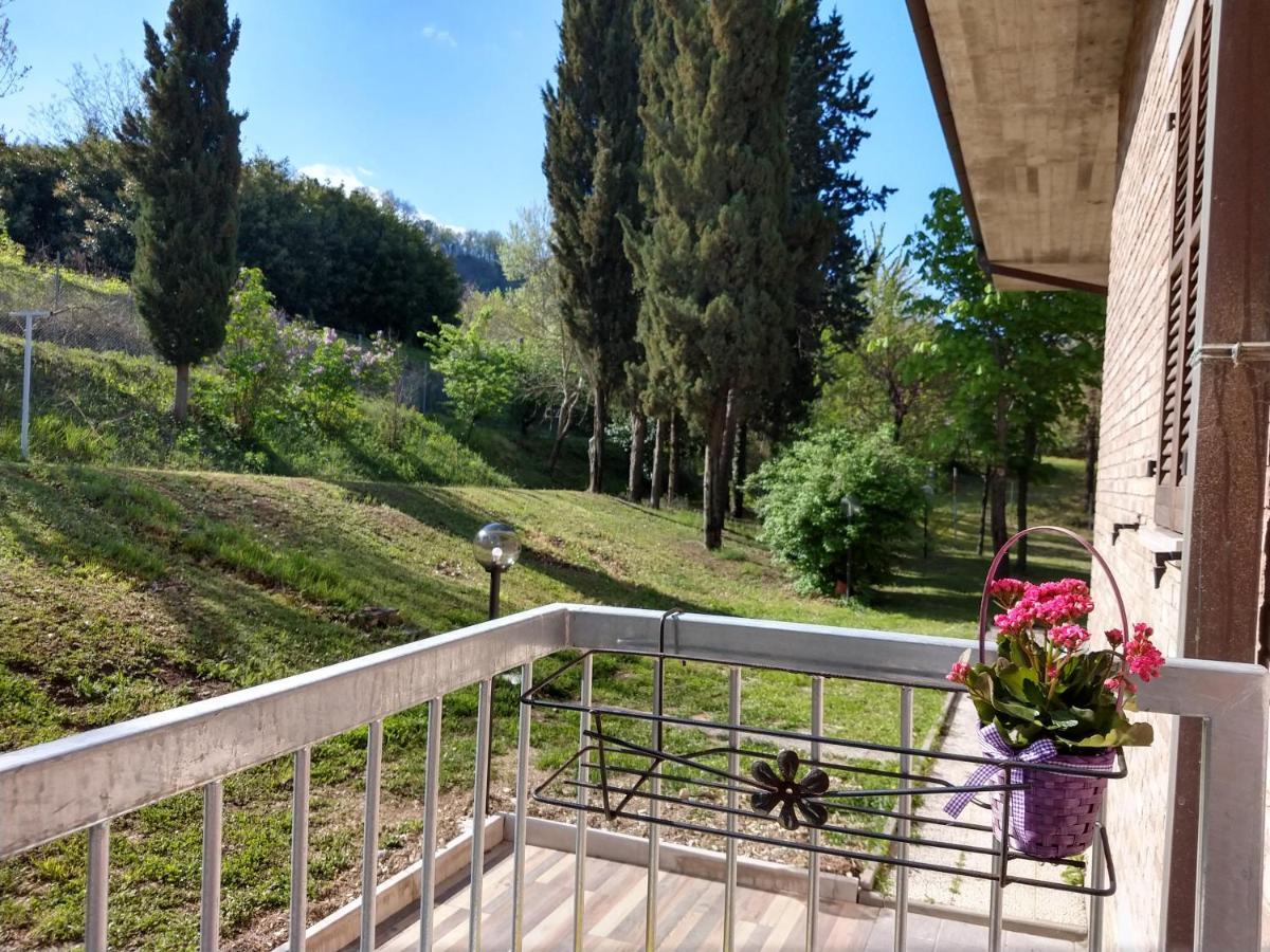B&B Il Torchio-Urbino Eksteriør billede